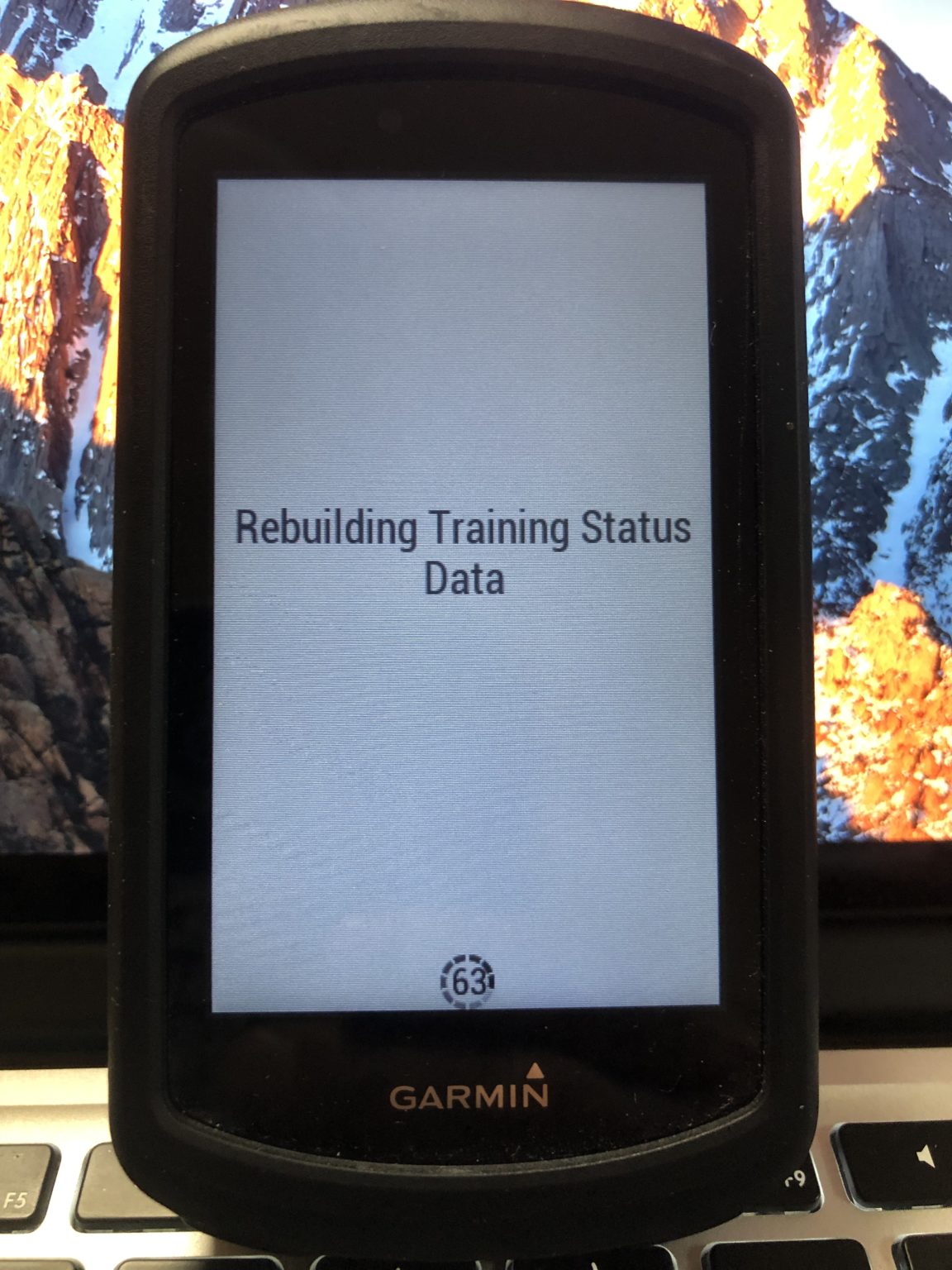 garmin 246